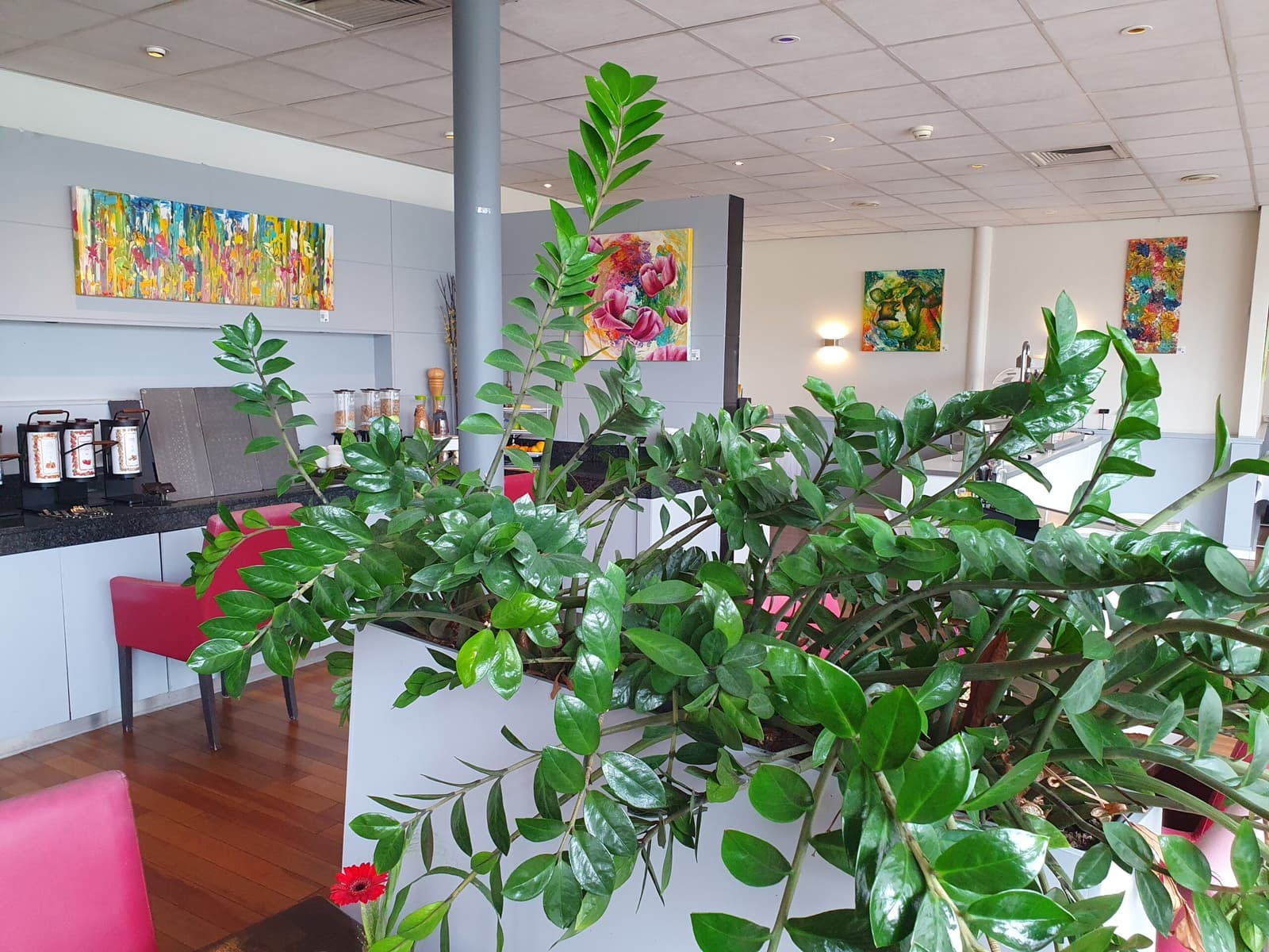 Anita Ammerlaan @ NH Zoetermeer 8