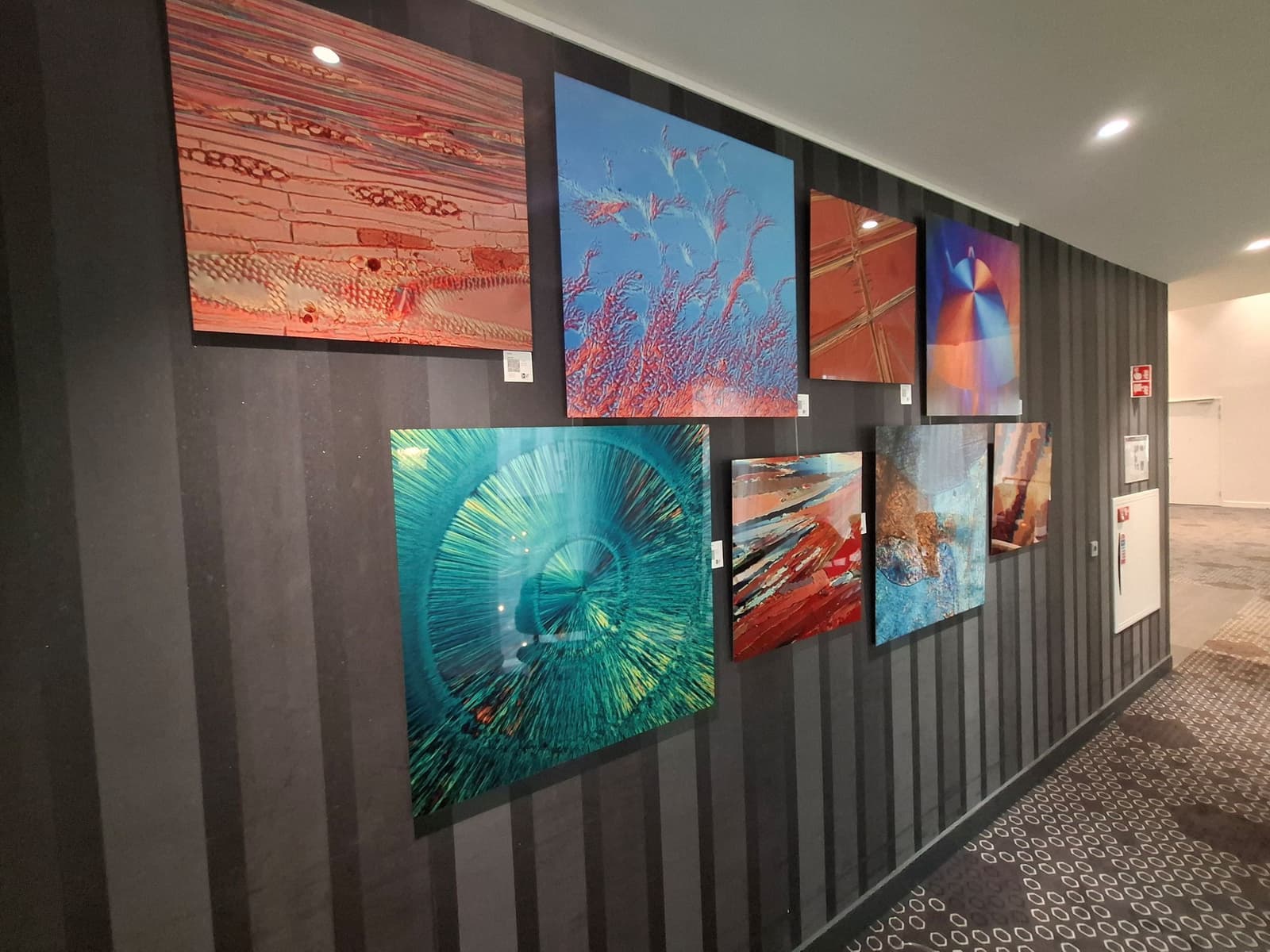 Jelte Prins @ Novotel Schiphol Airport hotel 3